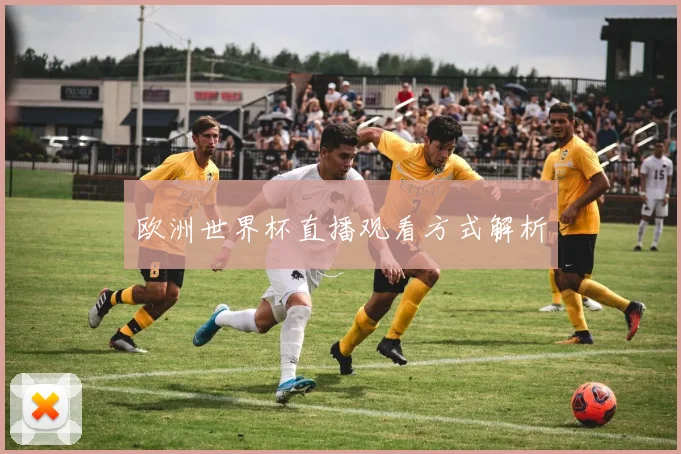 欧洲世界杯直播观看方式解析
