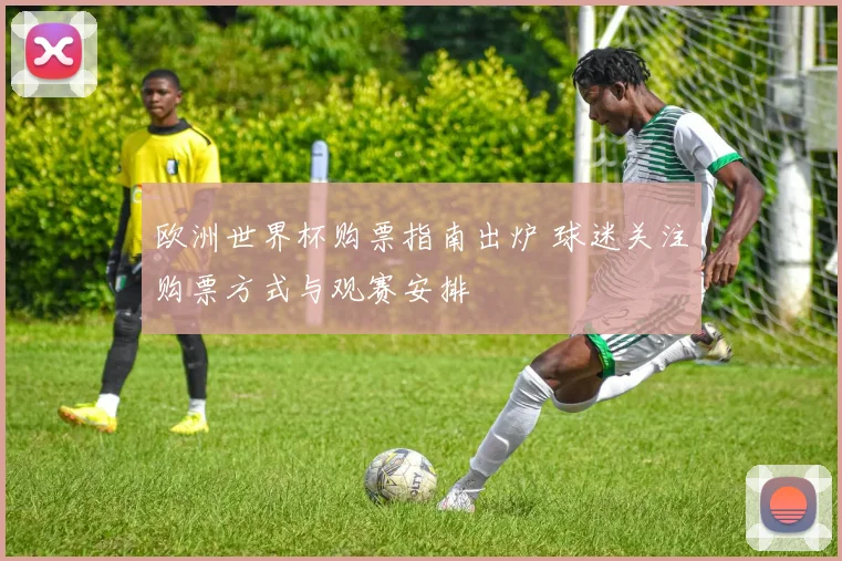 欧洲世界杯购票指南出炉 球迷关注购票方式与观赛安排