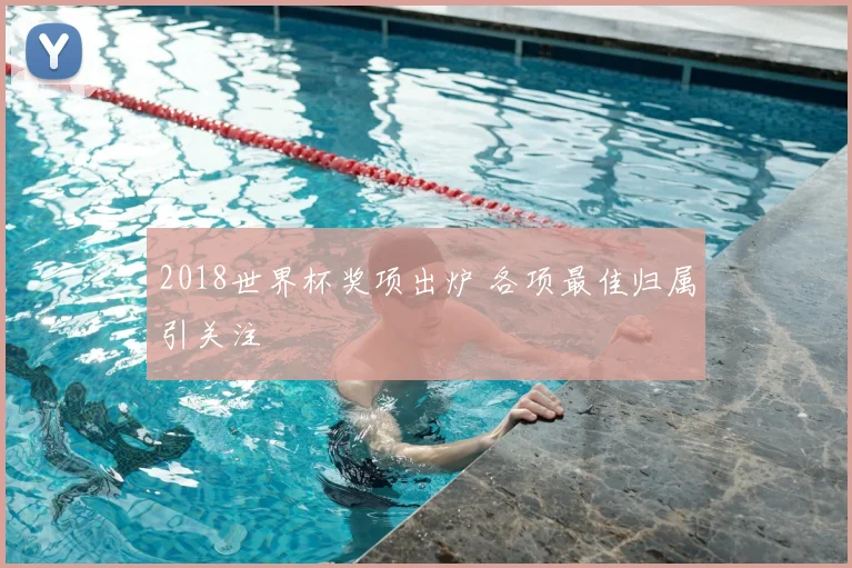 2018世界杯奖项出炉 各项最佳归属引关注
